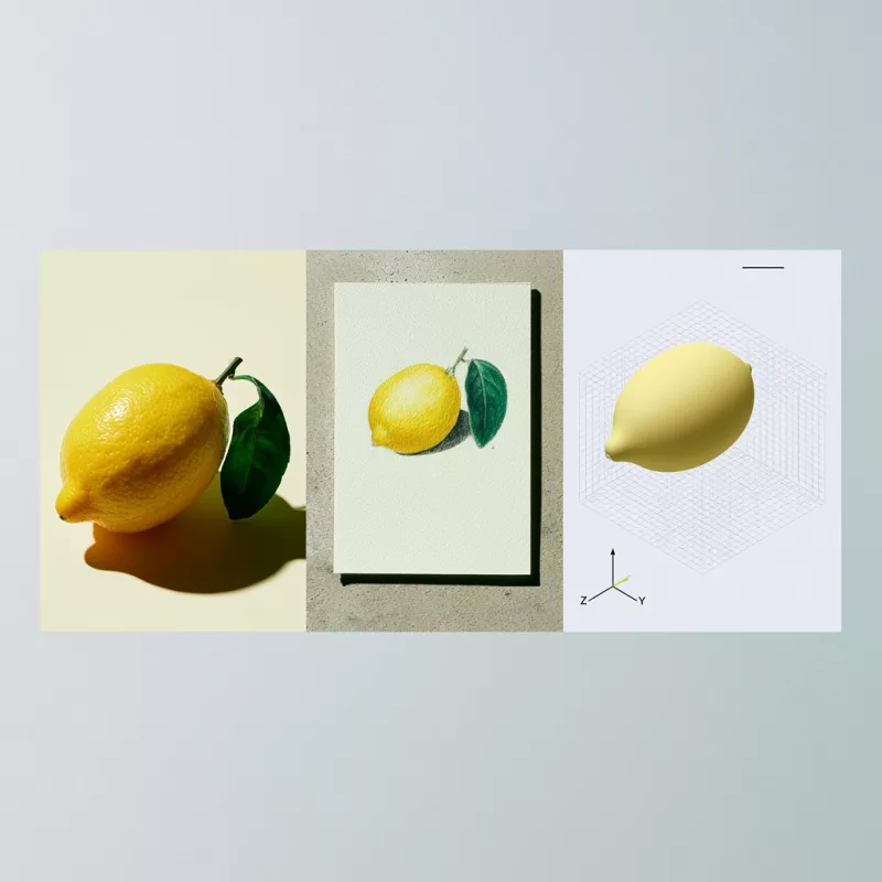 Drei Darstellungen einer Zitrone nebeneinander: als Fotografie, als botanische Zeichnung und als 3D-Modell.