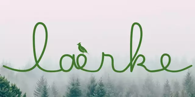 fitktives Logo für die Immobilie laerke Hamburg