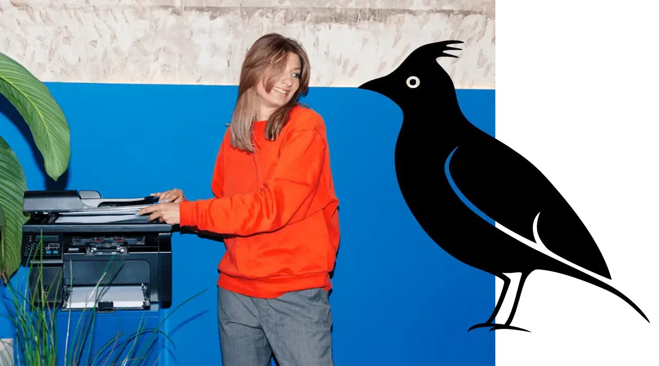 Lærke Hamburg steht in orange-rotem Hoodie vor einer blauen Wand und bedient ein Mischpult, neben ihr ist eine stilisierte schwarze Vogel-Illustration mit weißen Akzenten zu sehen.