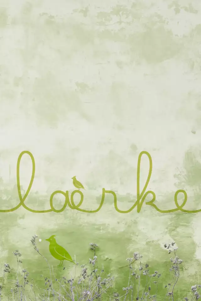 fitktives Logo für die Immobilie laerke Hamburg