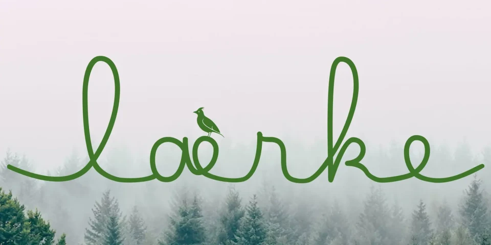 fitktives Logo für die Immobilie laerke Hamburg