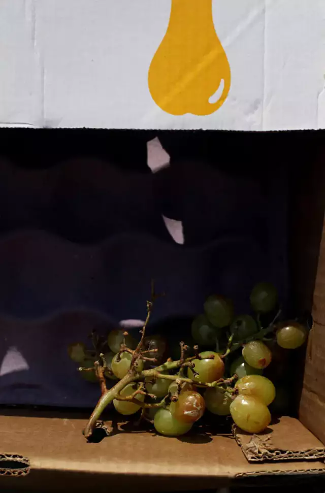 Das Foto zeigt ein Stilleben: eine Pappkiste mit gelber Birne. Innen liegt eine Weintraubendolde