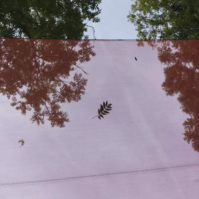 Das Foto zeigt ein Netz vor dem Hintergrund eines Baumes und des Himmels im Freien