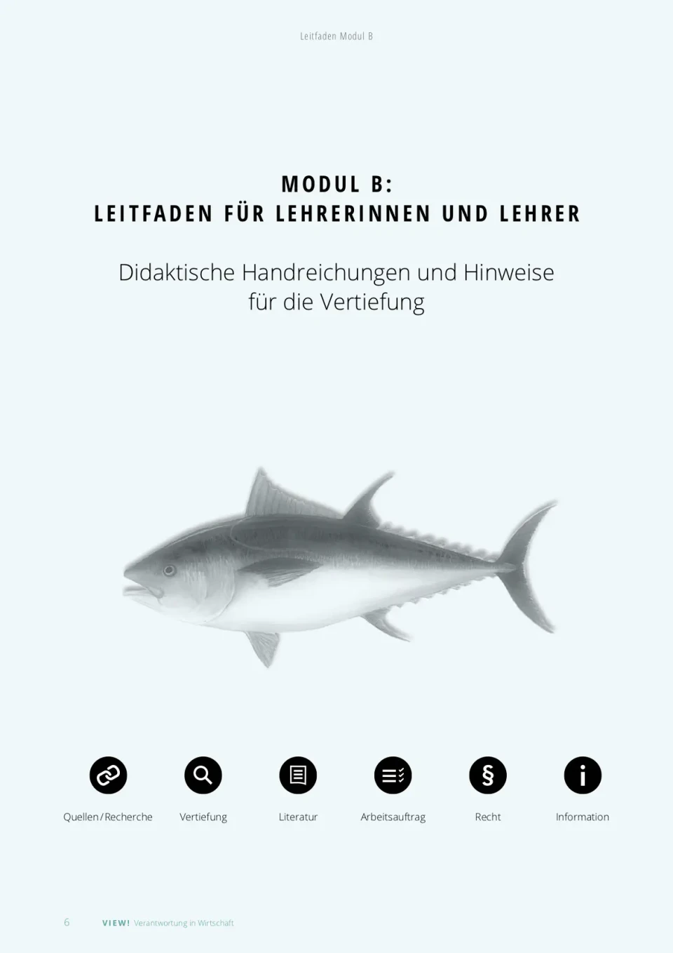 Unterrichtsmaterialien Wirtschaftsethik, Lehrer