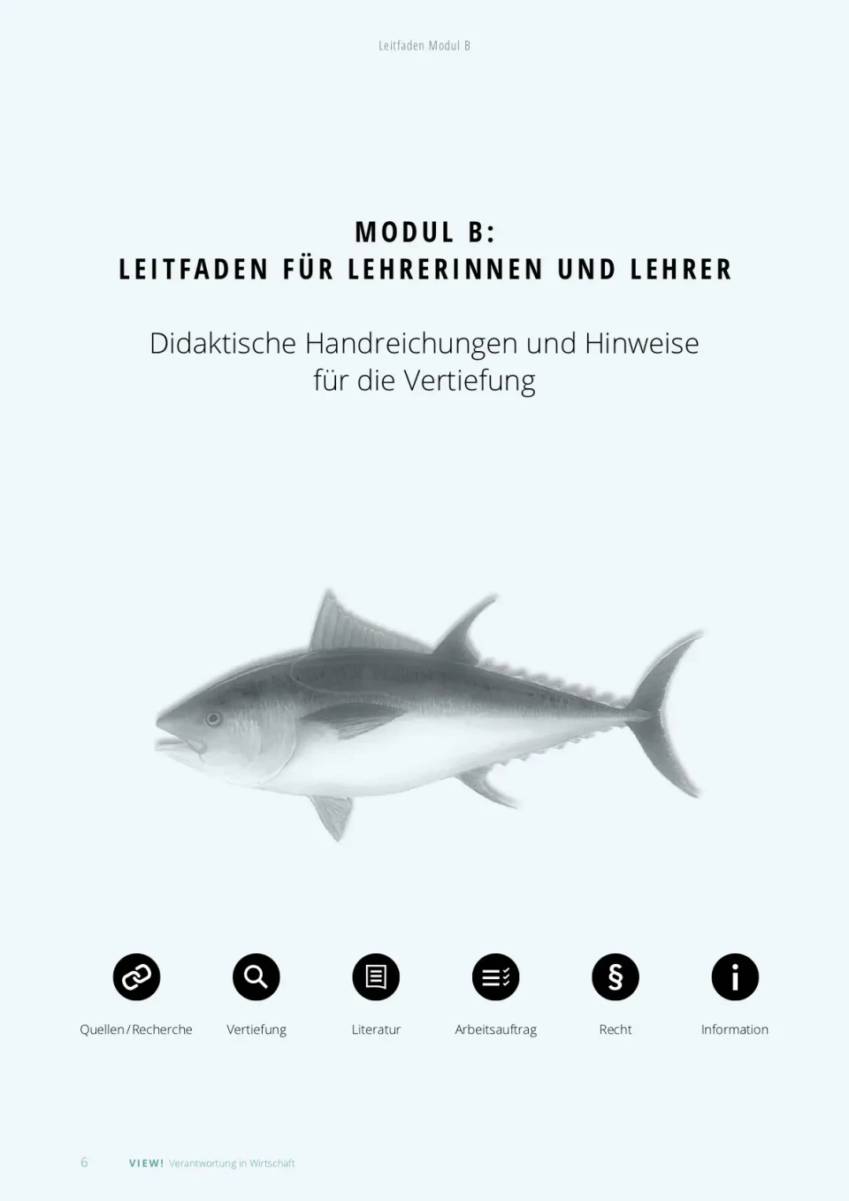 Unterrichtsmaterialien Wirtschaftsethik, Lehrer
