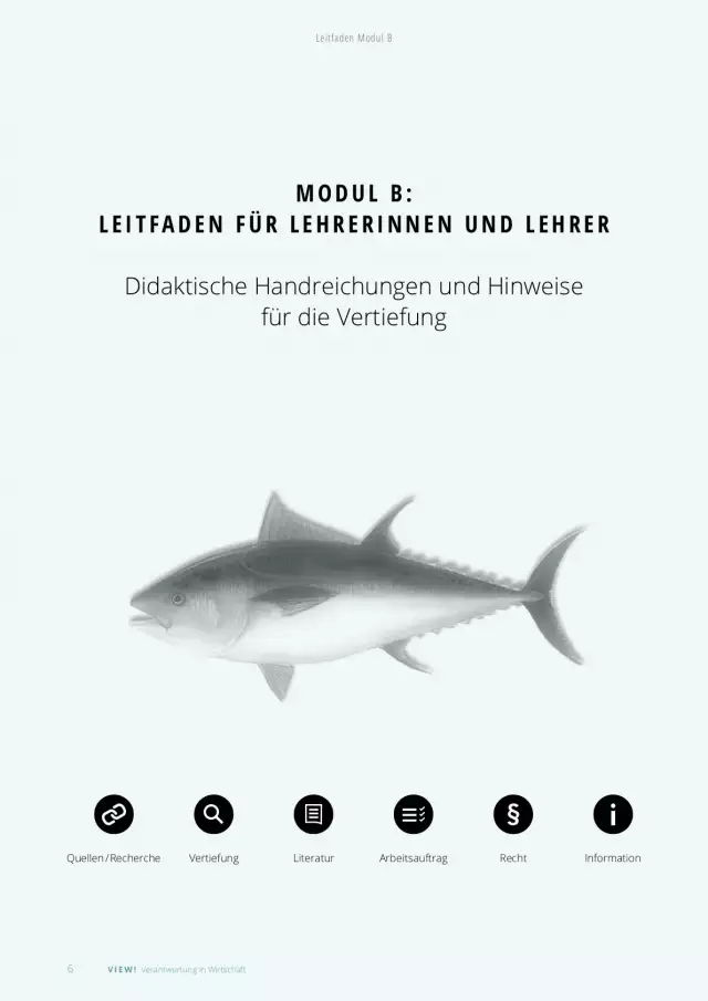 Unterrichtsmaterialien Wirtschaftsethik, Lehrer