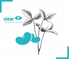 Unterrichtsmaterialien für Sekundarstufen