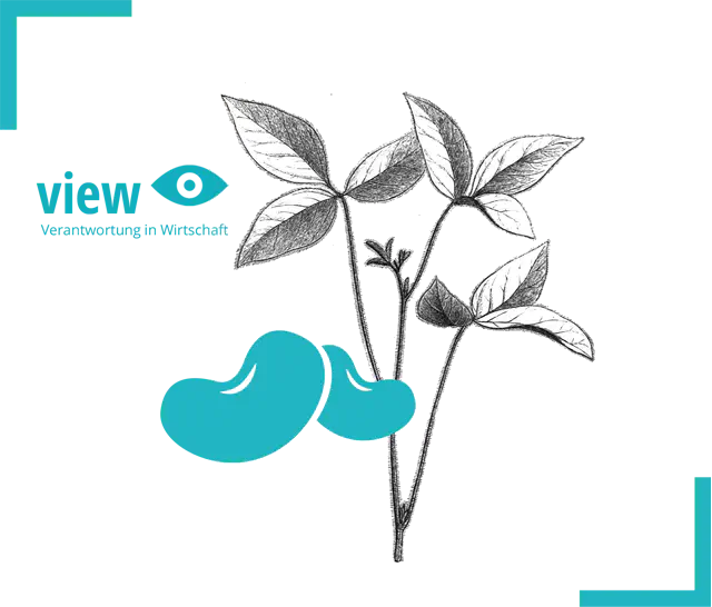 Unterrichtsmaterialien für Sekundarstufen