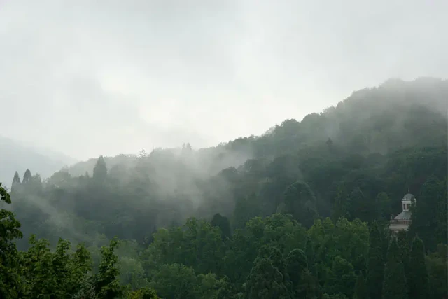 Nebelverhangene Waldlandschaft mit dichten grünen Bäumen und Bergen im Hintergrund. Ein kleines Gebäude ist sichtbar auf der rechten Seite zwischen den Bäumen. Der Himmel ist grau und bewölkt.