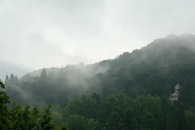 Nebelverhangene Waldlandschaft mit dichten grünen Bäumen und Bergen im Hintergrund. Ein kleines Gebäude ist sichtbar auf der rechten Seite zwischen den Bäumen. Der Himmel ist grau und bewölkt.