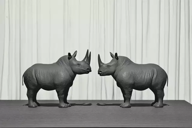 Two toy plastic Rhinozeros with entire body positioned symmetrically face to face