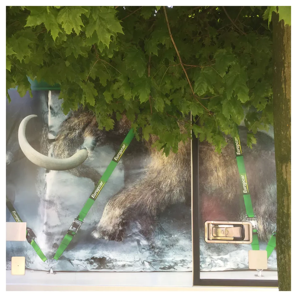 Ein Elefant mit geschwungenen Stoßzähnen unter grünem Laub, mit grünen Riemen um seinen Körper. Ein abstraktes Kunstwerk, das Versöhnung und Metapher thematisiert.