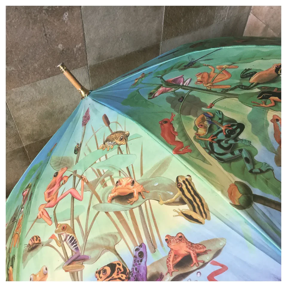 Ein aufgeklappter Regenschirm mit naturalistischen Illustrationen verschiedener Insekten, Blüten und Pflanzen in grünen, roten und gelben Farbtönen auf hellblauem Untergrund, fotografiert von oben auf grauem Fliesenboden.
