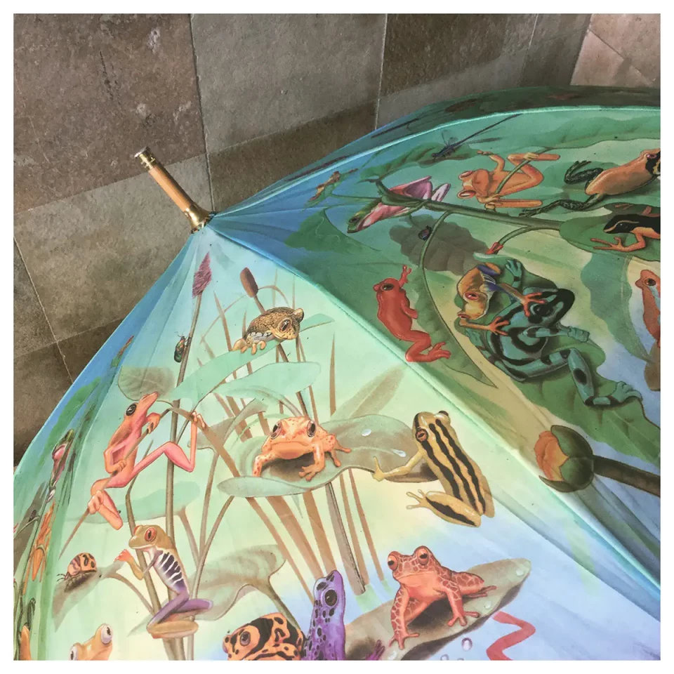 Ein aufgeklappter Regenschirm mit naturalistischen Illustrationen verschiedener Insekten, Blüten und Pflanzen in grünen, roten und gelben Farbtönen auf hellblauem Untergrund, fotografiert von oben auf grauem Fliesenboden.