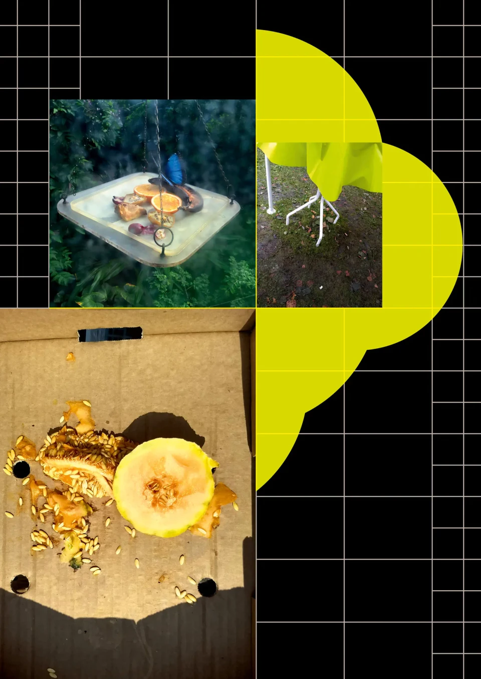 Drei fotografische Aufnahmen arrangiert um eine gelbe geometrische Form: oben links ein Feuer in einer Schale über Wasser, oben rechts eine Pflanze auf dunklem Boden, unten links goldene Materialien und eine gelbe Scheibe auf Papier. Die Bilder sind auf einem schwarzen Rasterhintergrund angeordnet.