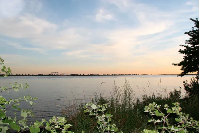 Blick auf die Elbe in der Goldenen Stunde, kurz vor dem Sonnenuntergang