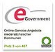 e government