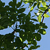 Schanzenviertel Eigentumswohnung