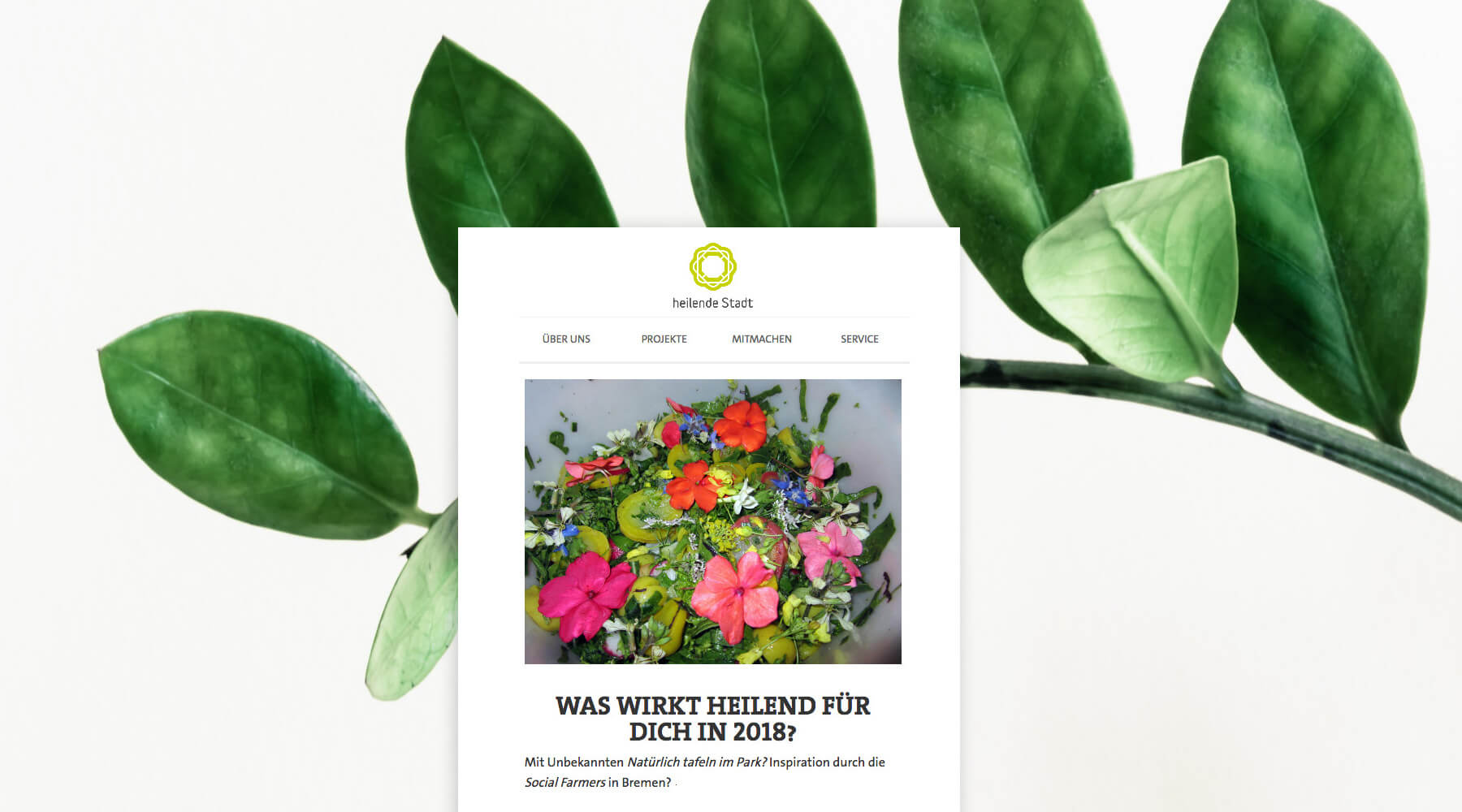 heilende Stadt – WebSite; Kopfbild mit ScreenShot über einem grünen Ast