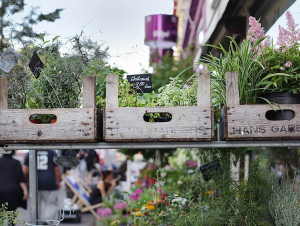 Straßenszene Schanzenviertel; Schulterblatt Blumengeschäft