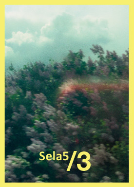 Flyer zur Fotoausstellung Sela5/3 in Berlin; gelbumrandetes Foto mit Büschen und Himmel, sehr körnige Aufnahme, düster und chaotisch