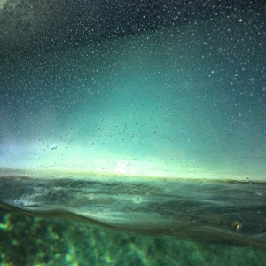 Aquarium im Königlichen Zoo ARTIS Amsterdam