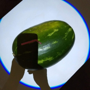 Smartphone vor Melone im Spotlight