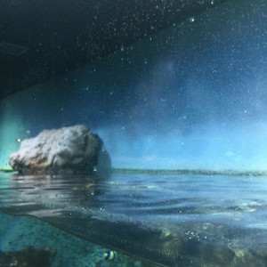 Königlicher Zoo ARTIS Amsterdam