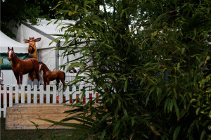 Pferde beim Deutschen Spring- und Dressur-Derby in Hamburg Klein Flottbek