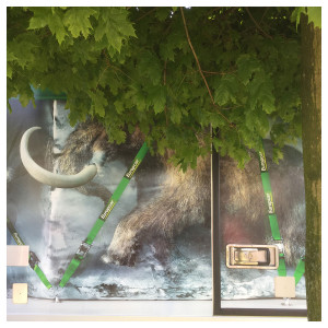 eine Mammut-Zeichnung auf einem kleinen Transporter, davor ein Baum; merkwürdiges Urwaldfeeling